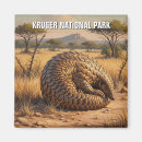 Pesquisar por parque nacional do kruger Viagem