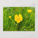 Pesquisar por botas cartoes postais Flores
