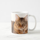 Pesquisar por maine coon canecas De café