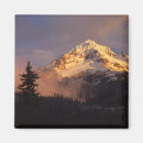 Pesquisar por mt hood imas Floresta