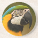 Pesquisar por macaw porta copos Animal