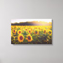 Pesquisar por crepúsculo impressão de canvas Flores