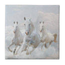 Pesquisar por cavalo azulejos Selvagem