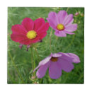 Pesquisar por rosa vermelha azulejos Mães