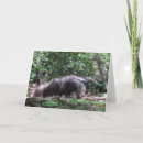Pesquisar por formiga cartoes Natureza