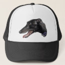 Pesquisar por galgo Original