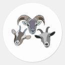 Pesquisar por goat adesivos Fofofo