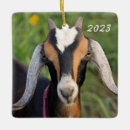 Pesquisar por christmas goat ornamentos Animal