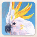 Pesquisar por cockatoo Mohawk