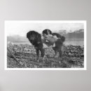 Pesquisar por 1911 pôsteres pósteres E u