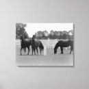 Pesquisar por cavalos impressão de canvas Arte