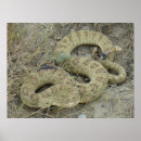 Pesquisar por cascavel pôsteres pósteres Para todos