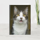 Pesquisar por sírio cartoes Fotografia