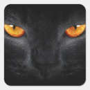 Pesquisar por pantera adesivos Felino