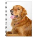 Pesquisar por golden retriever cadernos de notas Ouro