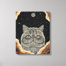 Pesquisar por gato galáxia artes pósteres Planeta