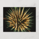 Pesquisar por fogos de artifício cartoes Dia de independência