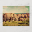 Pesquisar por elefante bonito cartoes postais Qualquer pessoa