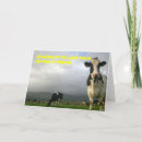 Pesquisar por funny cow cartoes Humor