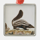 Pesquisar por cheiro ornamentos Animal