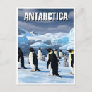 Pesquisar por pinguim adelie cartoes postais Neve