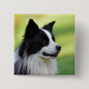 Pesquisar por retrato botons Natureza