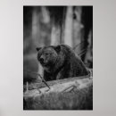 Pesquisar por preto e branco foto pôsteres pósteres Moderno