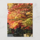 Pesquisar por nikko cartoes postais Japão