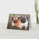 Pesquisar por puggles cartoes Pugs