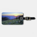 Pesquisar por olimpíada bagagem tags Washington