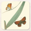 Pesquisar por borboleta colorida porta copos Flores