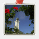 Pesquisar por hibisco ornamentos Natureza