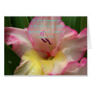 Pesquisar por 49 cartoes postais Escritura