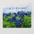 Pesquisar por texas cartoes postais Floral