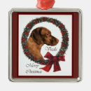 Pesquisar por vizsla ornamentos Feriado
