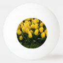 Pesquisar por festival da tulipa Primavera
