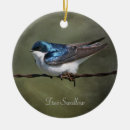 Pesquisar por decoração dos pássaros ornamentos Aves canoras