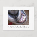 Pesquisar por higiene oral cartoes postais Dentista