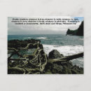 Pesquisar por seascapes Paisagem