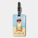 Pesquisar por shiba inu acessorios Viagem