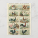 Pesquisar por ovo decorativo cartoes postais Ovos