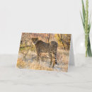 Pesquisar por wildlife cartoes Wild animal
