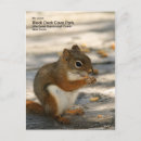 Pesquisar por caça cartoes postais Pato