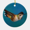 Pesquisar por colibri ceramica ornamentos Birding