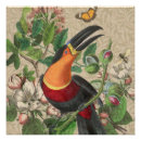 Pesquisar por jungle pósteres Tucano