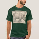 Pesquisar por albrecht camisetas Ouro