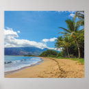 Pesquisar por hawaii pôsteres pósteres Palmeira