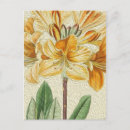 Pesquisar por oil painting cartoes postais Vintage