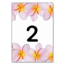 Pesquisar por flor do frangipani Para todos