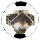 Pesquisar por olhos bola futebol Animal